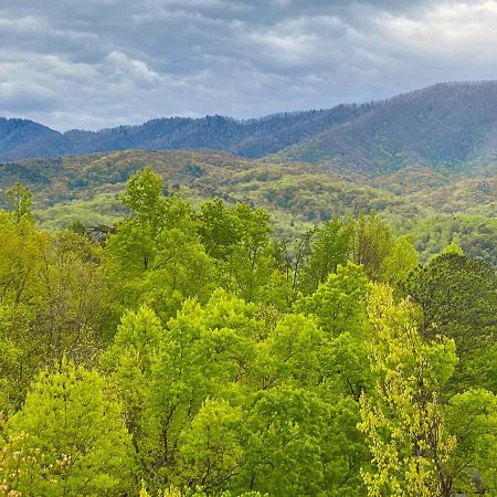 Amazing Views Villa Gatlinburg Room photo