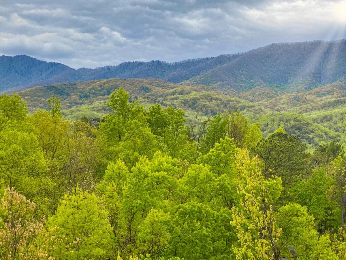Amazing Views Villa Gatlinburg Room photo
